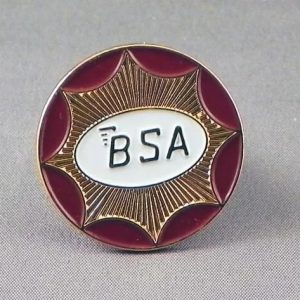 BSA CIRCLE ( GOLD PLATTED) PIN BADGES