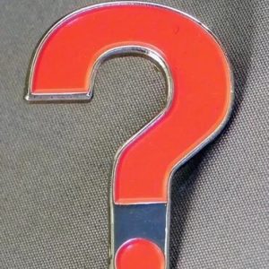 TIME LORD? PIN BADGE