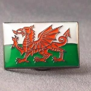 WELSH FLAG PIN BADGE